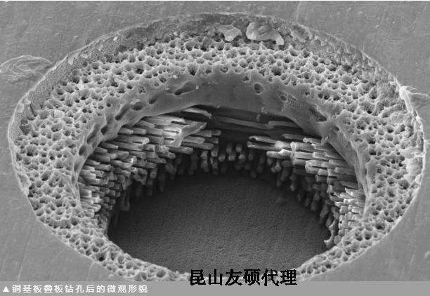 百色蔡司百色扫描电镜